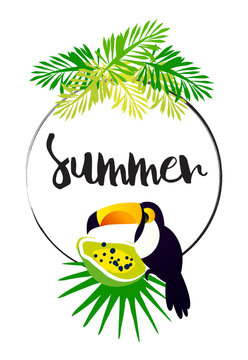 Bright summer card with palm leaves, papaya, toucan, frame and text on white background. Vector tropical banner.