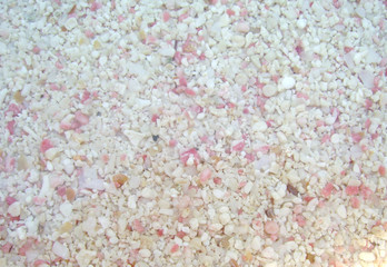 Pink Bermuda Sand