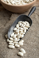 Dried white bean.