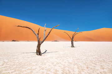 Fototapeta na wymiar Dead Vlei in Naukluft National Park, Namibia, taken in January 2018