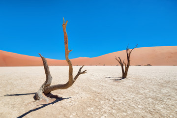 Dead Vlei in Naukluft National Park, Namibia, taken in January 2018