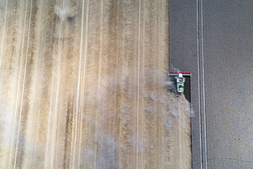 Harvester working on the wheat field