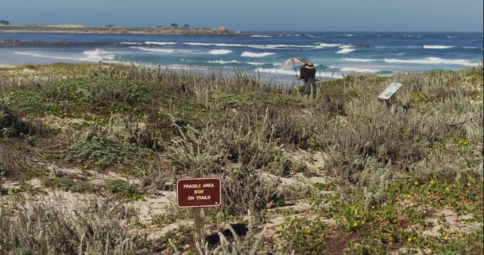 Plein Air Arist Painting Ocean