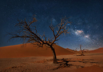 Milky Way over Dune 45 in Namibia taken in January 2018 - obrazy, fototapety, plakaty