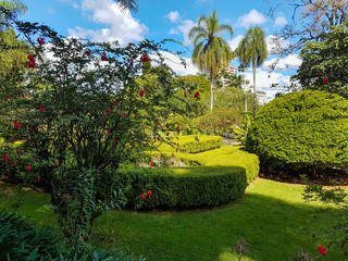 Jardim com arbustos ornamentados