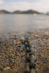 Ankerkette für Bojen im Meer 