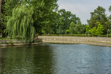 green summer city park with lake in gray rainy day and sky with clouds