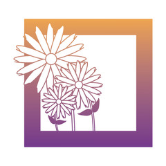 decorative frame with beautiful flowers over white background, colorful design. vector illustration