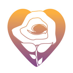 beautiful flower over heart and white background, colorful design. vector illustration