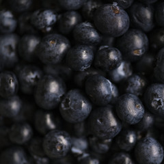 Closeup of fresh organic blueberries