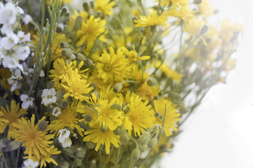 Bouquet of beautiful meadow flowers close-up. Spring-summer blooming background. White and yellow flowers.