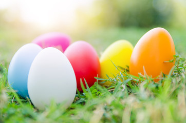 Easter eggs in grass against blurred green background. Spring holidays concept