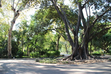 Spain - Granada and Toledo