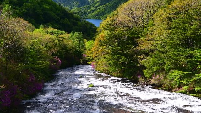 龍頭の滝