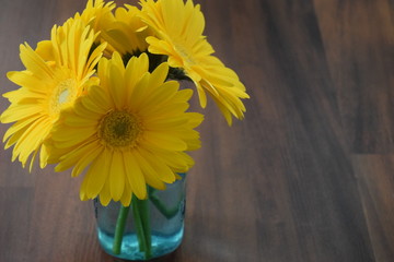 Fototapeta na wymiar Yellow Daisy In Vase