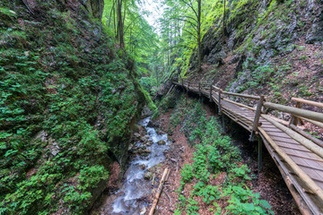 Dr. Vogelgesang Klamm