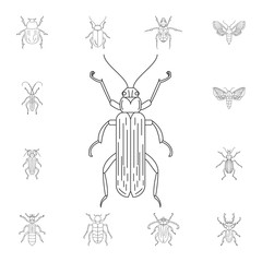 Beetle icon. Simple element illustration. Beetle symbol design from Insect collection set. Can be used for web and mobile