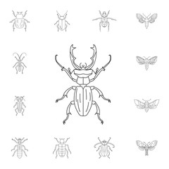 Beetle icon. Simple element illustration. Beetle symbol design from Insect collection set. Can be used for web and mobile