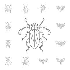 Beetle icon. Simple element illustration. Beetle symbol design from Insect collection set. Can be used for web and mobile