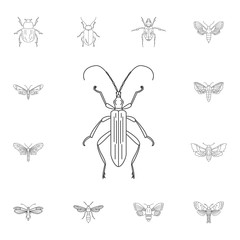 Beetle icon. Simple element illustration. Beetle symbol design from Insect collection set. Can be used for web and mobile