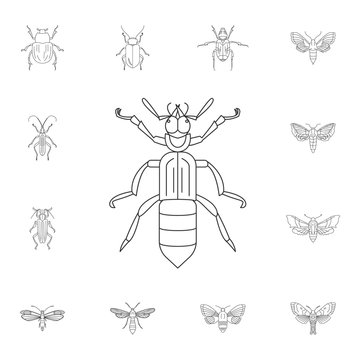 Beetle icon. Simple element illustration. Beetle symbol design from Insect collection set. Can be used for web and mobile