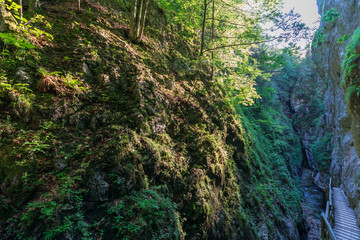 Fototapeta premium Dr. Vogelgesang Klamm