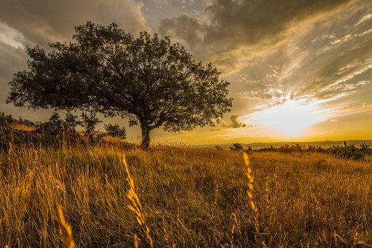 Soir d'&eacute;t&eacute; sur le Larzac