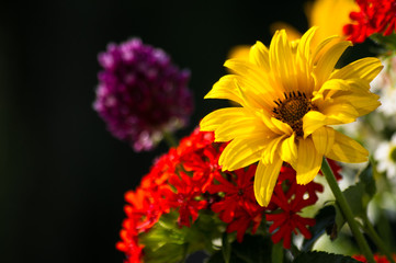 a bouquet of bright spring flowers of various types