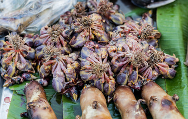 Pile of fresh dead small bird ready for sell in street market .