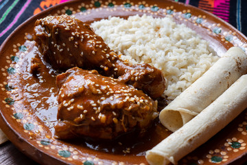 Mexican mole sauce with chicken - obrazy, fototapety, plakaty