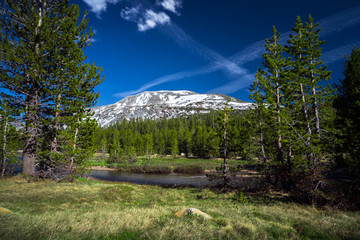 Snowy Peak of Mt. Dana and Mountain Meadow Creek - Yosemite National Park