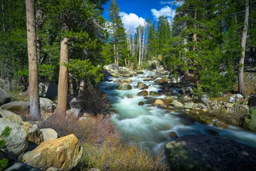 Zelfklevend Fotobehang Smooth Flowing Tuolomne River and Mountain Forest - Yosemite National Park © nathanallen