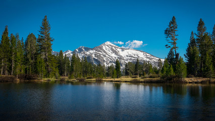 Snowy Mammoth Peak Overlooking Mountain Lake in Yosemite National Park