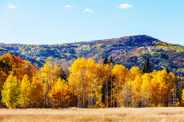 Autumn season