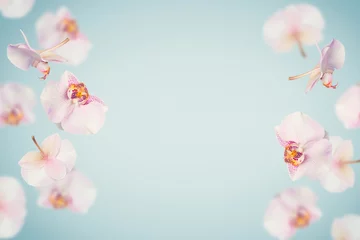 Poster de jardin Fleurs Fond d& 39 été tropical bleu avec des fleurs d& 39 orchidées tombantes