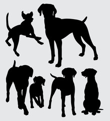 Viszla dog animal silhouette