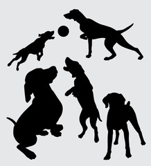 dog playing silhouette