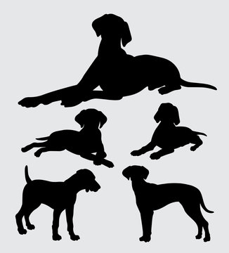 Pointer And Any Kind Of Dog Silhouette