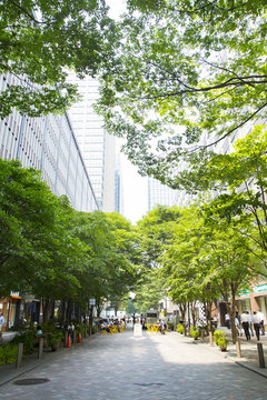 Cityscape  Of Marunouchi Town