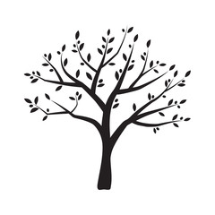 Vector olive tree silhouette