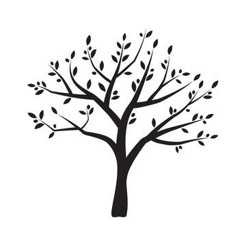 Vector olive tree silhouette