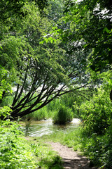 Naturbelassener Uferbereich