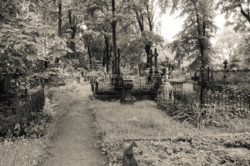 Walkway through abandoned cemetery between graves and tombs.