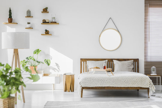 A white, sunlit hotel bedroom interior with monstera deliciosa plant, cacti on shelves and a round mirror above a rustic, wooden double bed frame