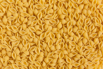 Conchiglie pasta texture, background or backdrop
