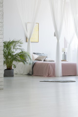 Grey rug placed on the floor in white bedroom interior with green plant, modern poster hanging on the wall and double bed with pink blanket and pillows