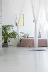 Grey rug placed on the floor in white bedroom interior with green plant, modern poster hanging on...
