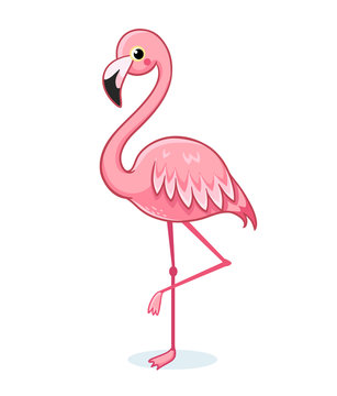 Cute pink flamingo on a white background. Vector illustration with bird on white background in cartoon style.