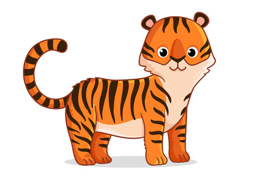 Cute tiger stands on a white background. Vector illustration with a predator on a white background in cartoon style.