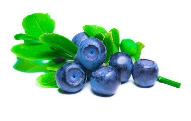 Blueberries with leaves isolated on white background